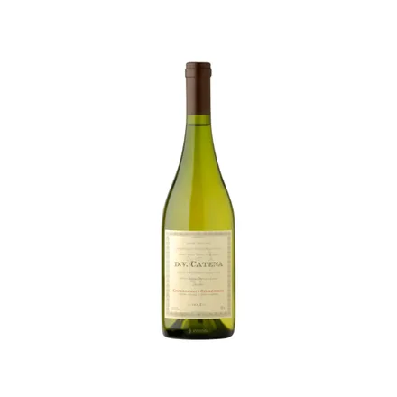 Vinho Dv Catena Chardonnay 2022 750ml