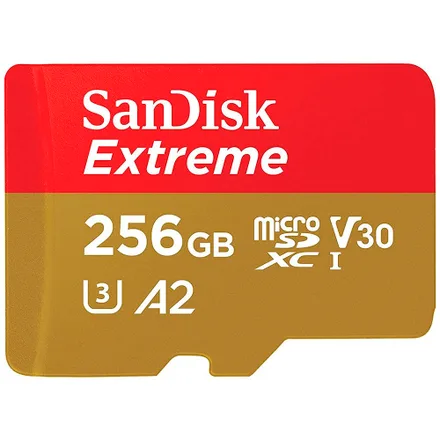 Sd Extreme Sdsqxav 256g 256GB