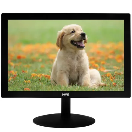 Hye 16 9 5 Ms Vga Hdmi