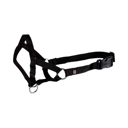 Arnes Guia Perro Trixie Trainer 13004L