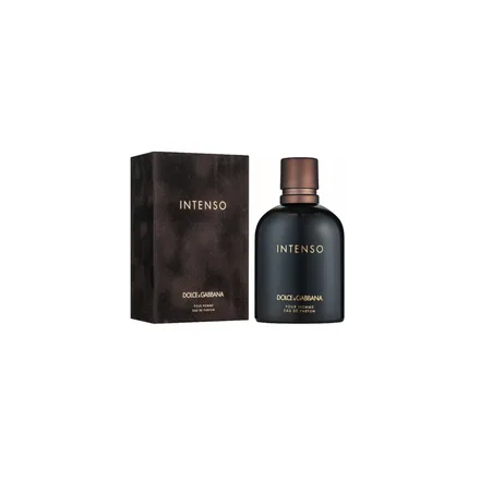 Dolce Gabbana Intenso Masculino Eau Parfum 75ml