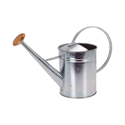 Regadera Kpm 031186 1.9 L Plata