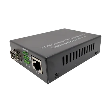 Media Conv 20KM 100 Hl Sfp 1