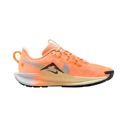 Calzado Deportivo Nike Pegasus Trail 5 Femenino
