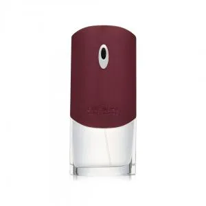 Givenchy Pour Homme Edt 100ml