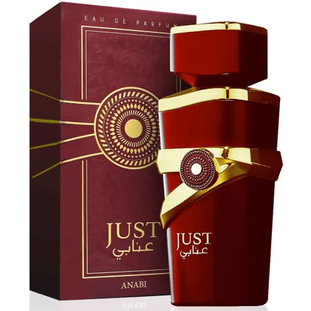 Perfume Fragance World Just Anabi Edp Unisex 100ml