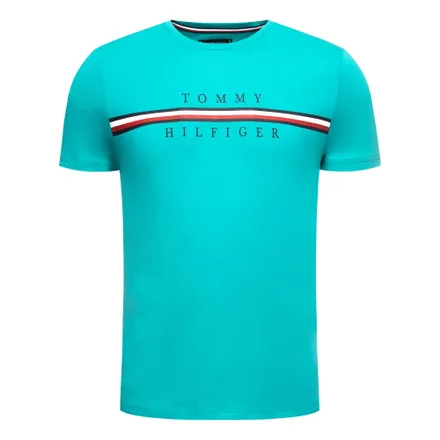 Camiseta Tommy Hilfiger Masculino L7P Aqua 00L