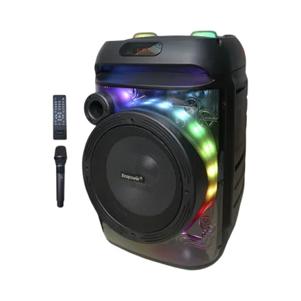 Speaker Ecopower Ep 1967