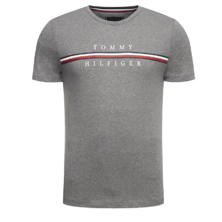 Camiseta Tommy Hilfiger Masculino P9W 00 Fog Htr
