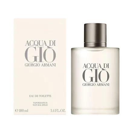 Perfume Giorgio Armani Acqua Di Gio Pour Homme Eau Toilette 100ml